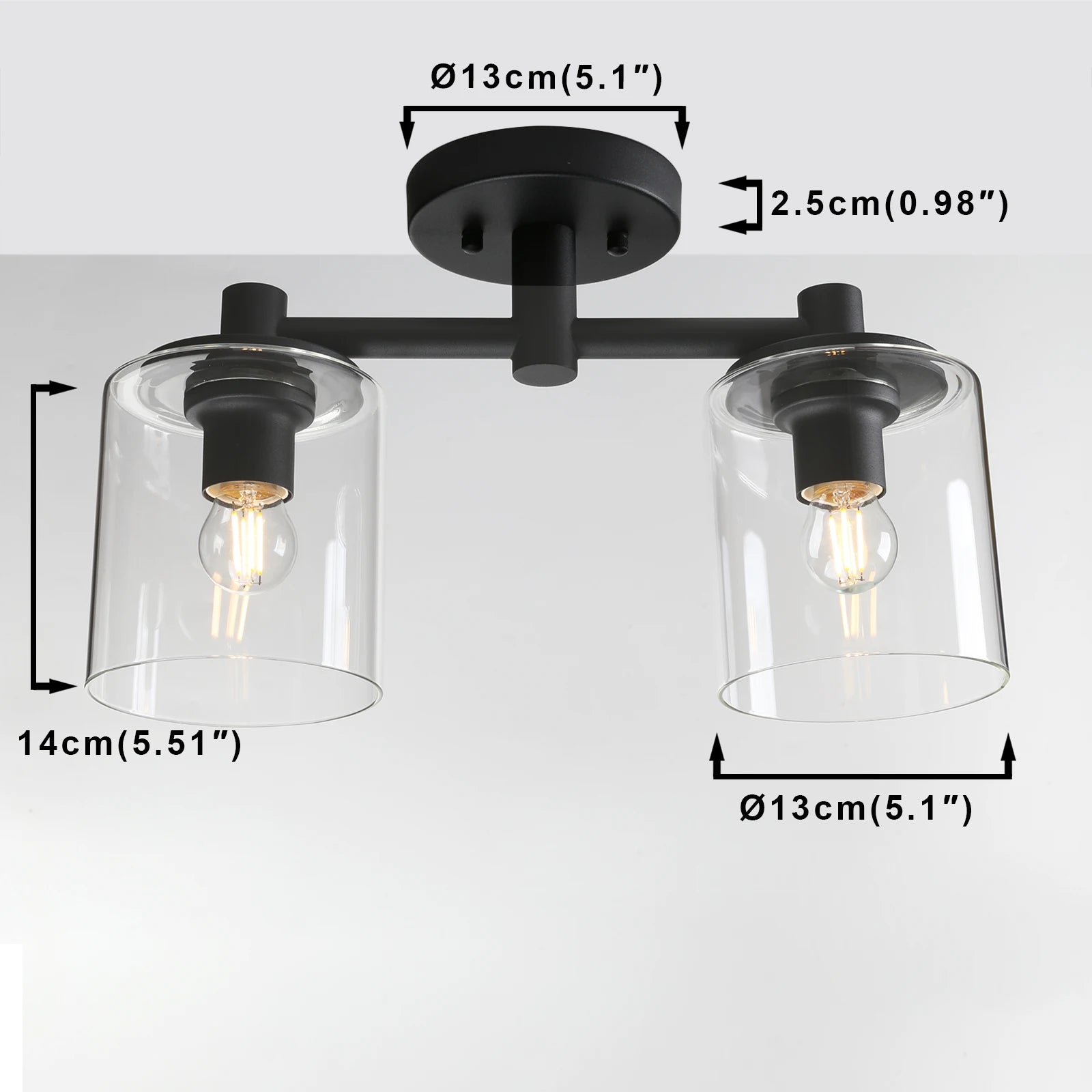 2 Lights Glass Chandelier Modern Celing Pendant Light with 5.1 Inches Clear Glass Light Shade